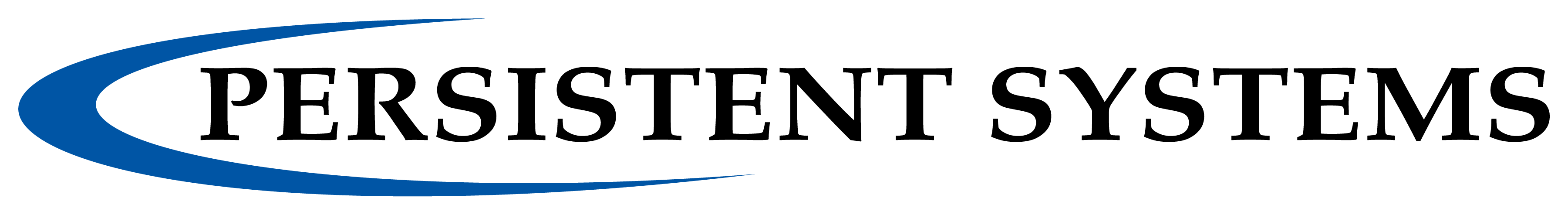 Persistent Systems